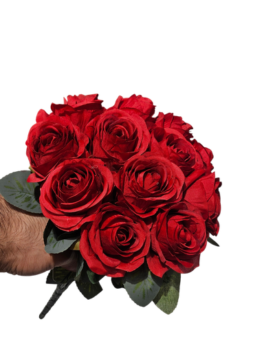گوڵەباخی سوور