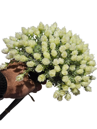 گوڵی بەفر