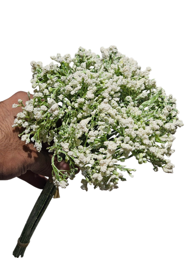 گوڵی بەفر