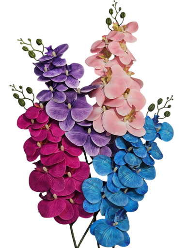 ئۆرکید