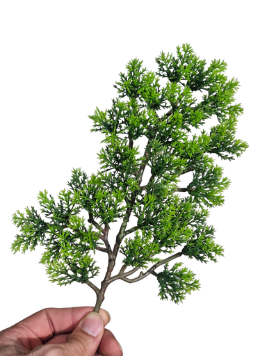 Bonsai leaves