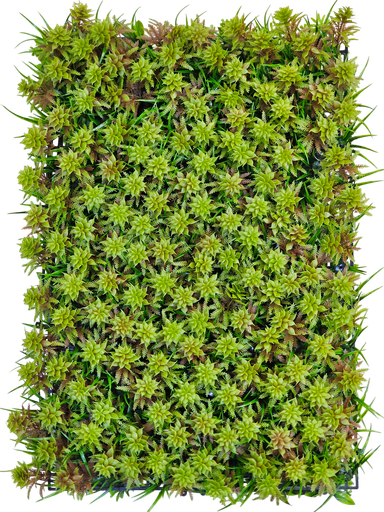 40*60 دیواری سەوز