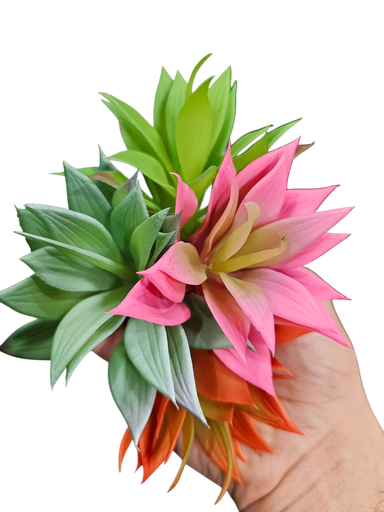 النباتات الصغيرة