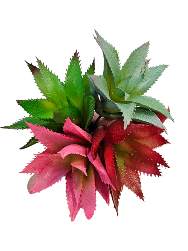 ڕووەکی بچووک