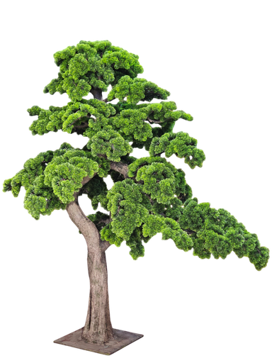 درەختی بۆنسای