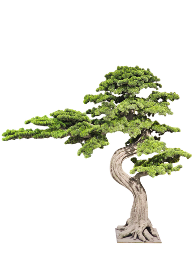 شجرة بونساي