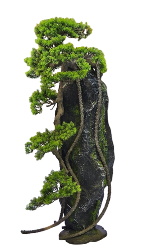 درەختی بۆنسای