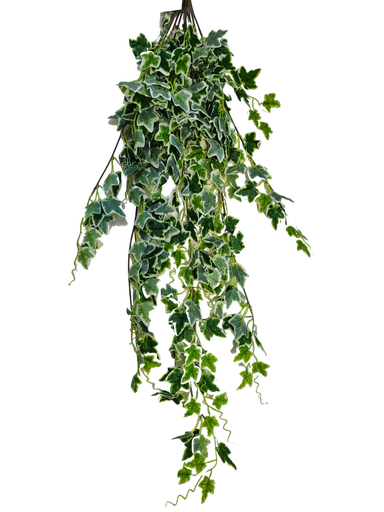 أوراق معلقة