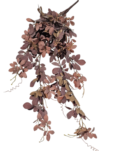 أوراق البرتقال