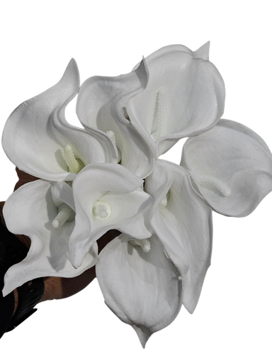 Calla flower