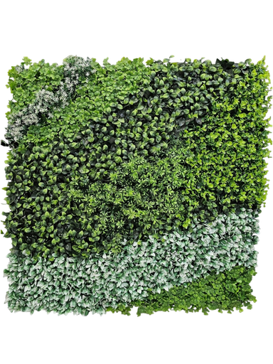 100*100 green wall