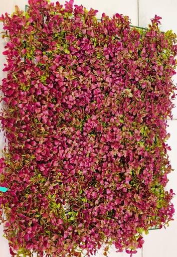 جدار أخضر 40*60