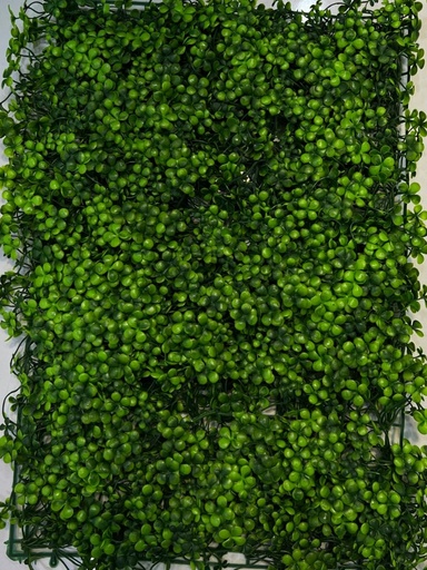 40*60 green wall