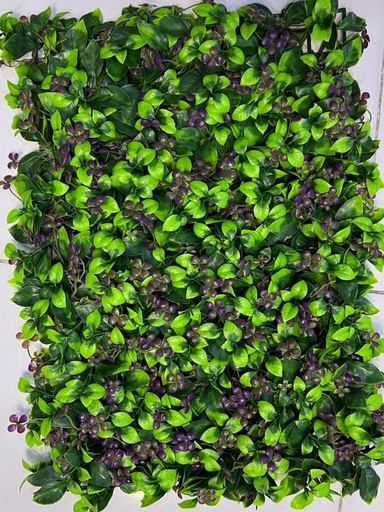 40*60 دیواری سەوز