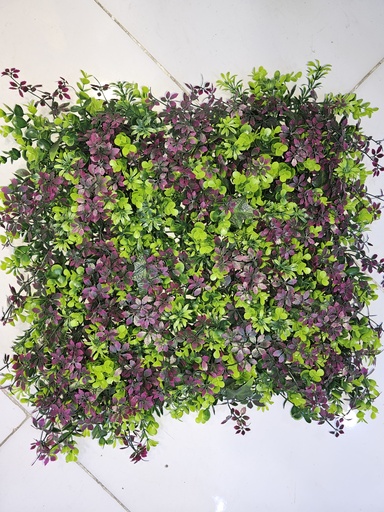 40*60 دیواری سەوز