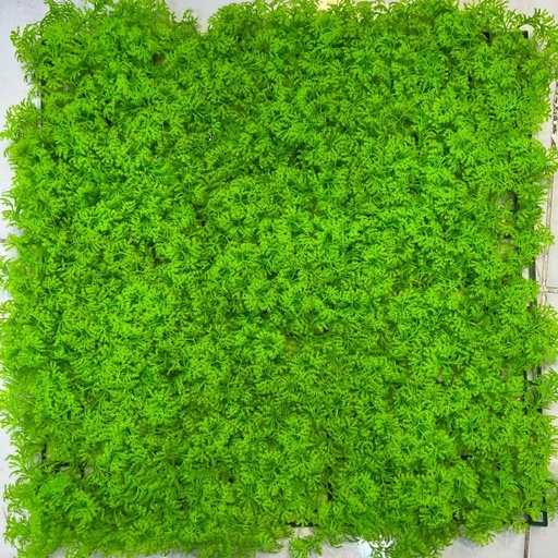 40*60 green wall