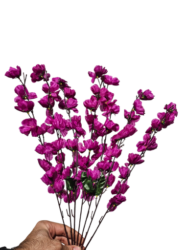 خونچەی گێلاسی مۆر