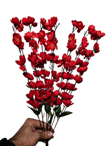 ريد تشيري بوسوم