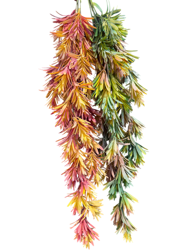 suspended leaves