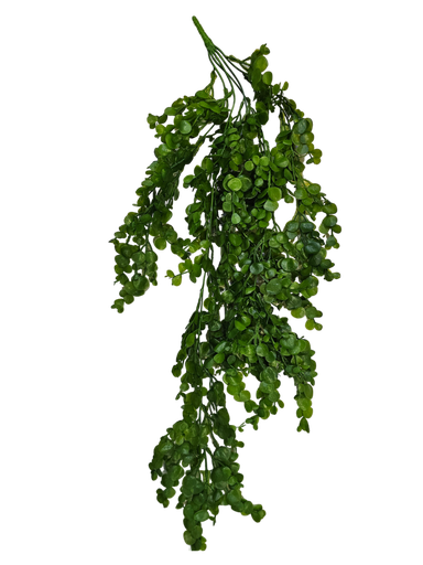 أوراق معلقة