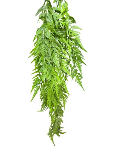 suspended leaves