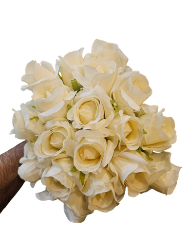 creamy roses