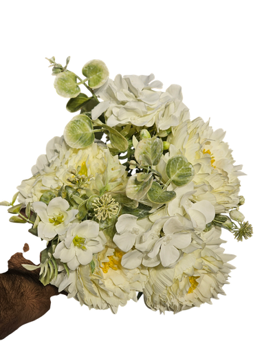 گێربێرا دەیزی