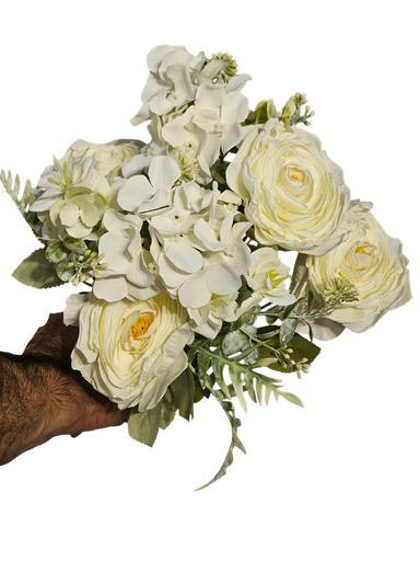 گێربێرا دەیزی