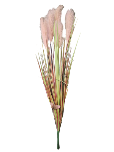 گیای پامپاس