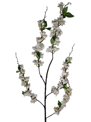 white flower branch 
