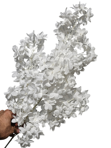 white flower branch