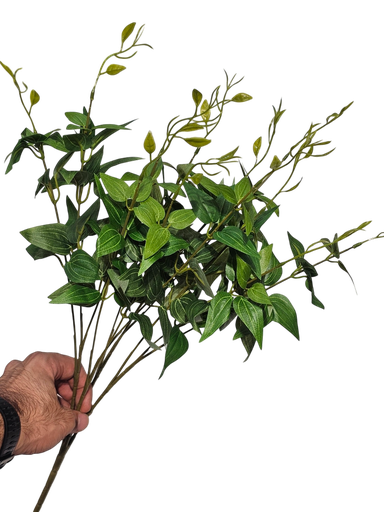 foliage branches