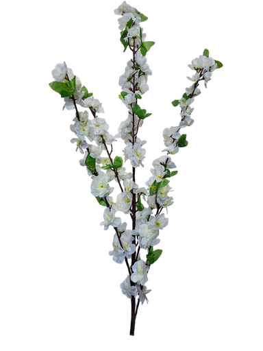 white cherry blossom branch