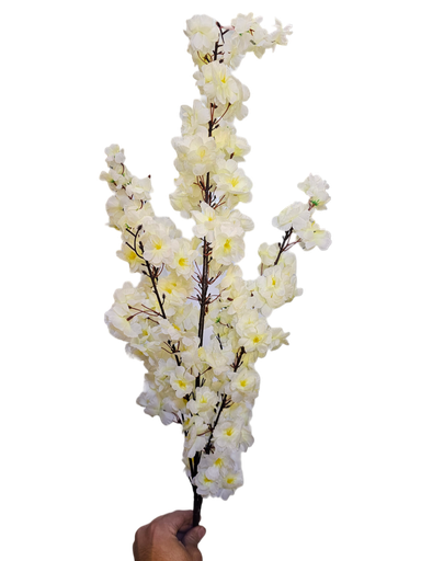 white cherry blossom branch