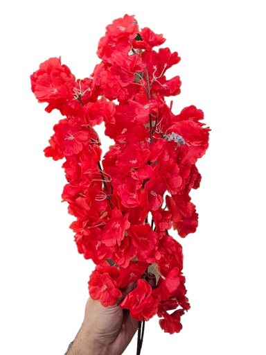 کلکی ڕێوی سوور