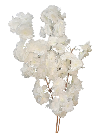 کلکی ڕێوی سپی