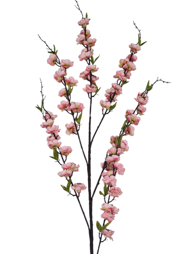 pink flower branch