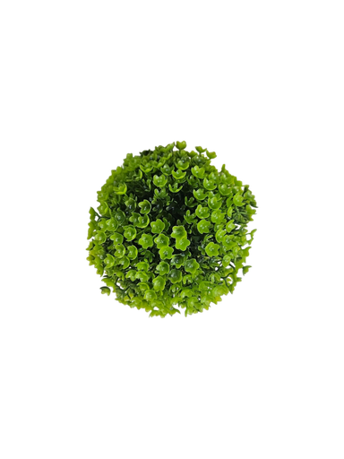 تۆپی سەوزی بچووک