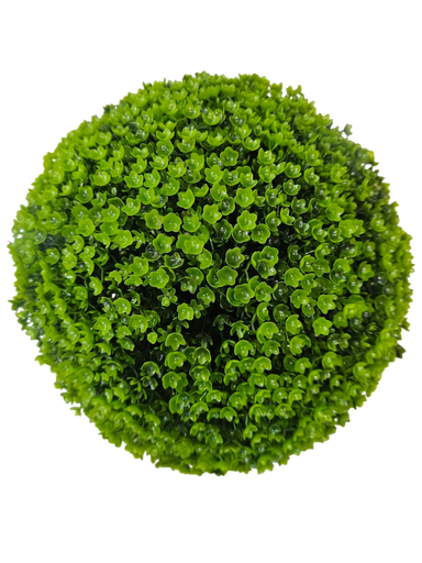 الكرة الخضراء هي الأكبر