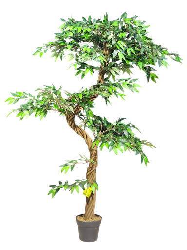 شجرة الكرمة 170 سم