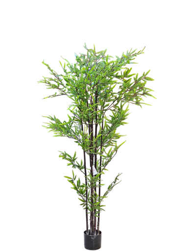 داری بامبۆ 180 سانتیمەتر