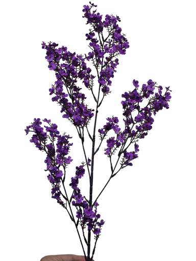 peach blossom branch