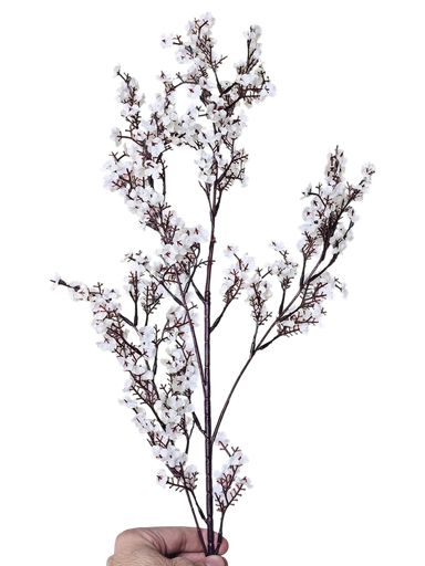 peach blossom branch