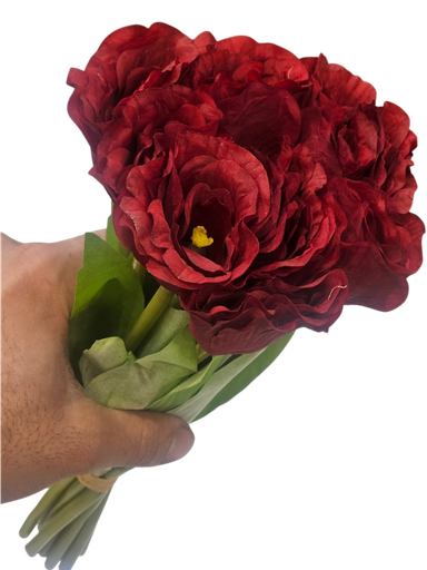 الوردة الحمراء