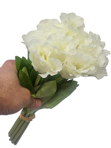 گوڵەباخی سپی