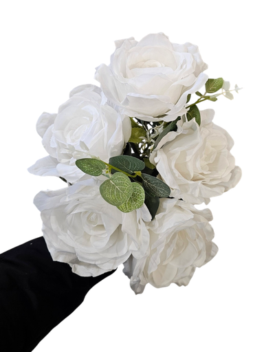 گوڵەباخی سپی