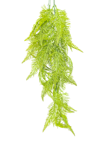 أوراق معلقة