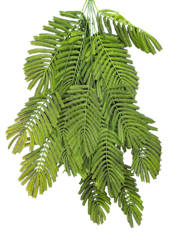 گەڵا هەڵواسراوەکان