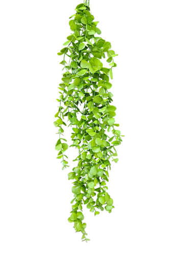 أوراق معلقة