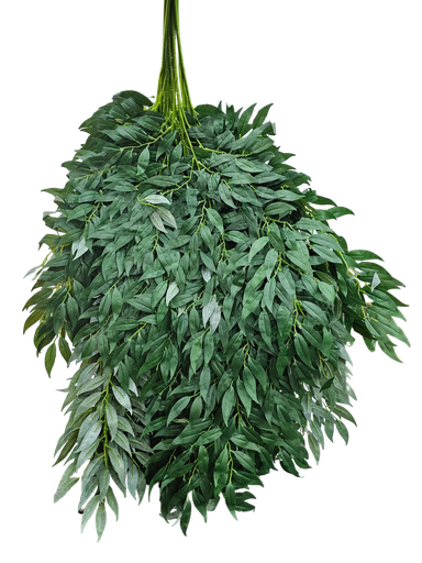 گەڵا هەڵواسراوەکان